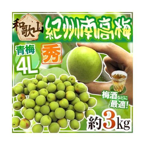 紀州・和歌山産 ”南高梅 青梅” 秀品 4l 約3kg【予約 5月中旬以降】 送料無料 くらし快援隊 Sitepromo