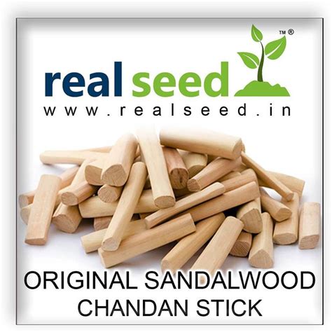 Real Seed Original Sandalwood Chandan Stick Superior Quality 1 Piece