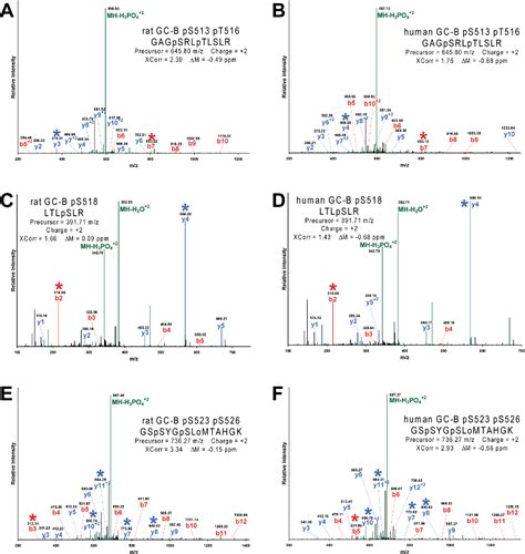 Figure From Mass Spectrometric Identification Of Phosphorylation