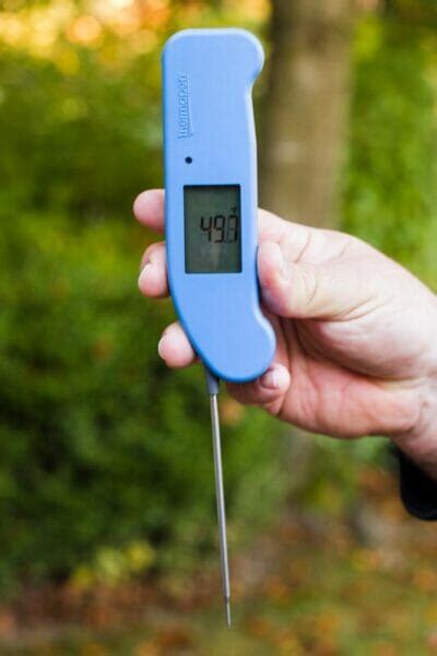 The Best Instant Read Thermometer Of 2024 Expert Reviews