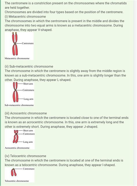 What Is Centromere How Does The Position Of Centrome Form The Basis Of Classification Of