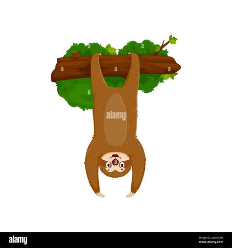 Cartoon funny sloth character wearing a goofy grin, dangles upside-down from a tree branch with ...