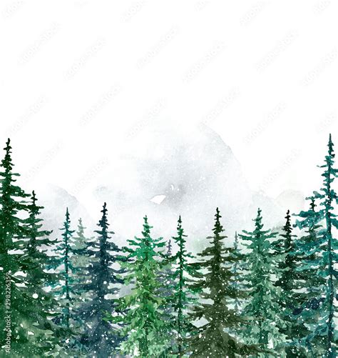 Watercolor winter pine trees forest on white background. Hand painted ...