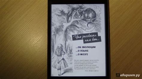 Книга: Чеширская улыбка кота Шрёдингера. Язык и сознание - Татьяна ...