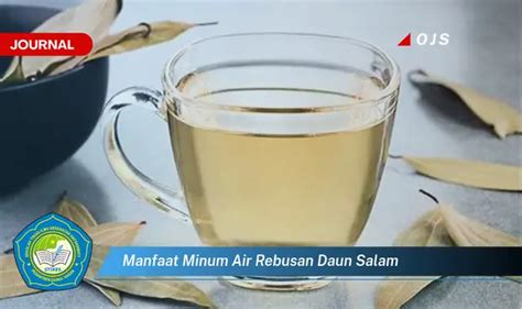 Jarang Diketahui Ini Manfaat Minum Air Rebusan Daun Salam