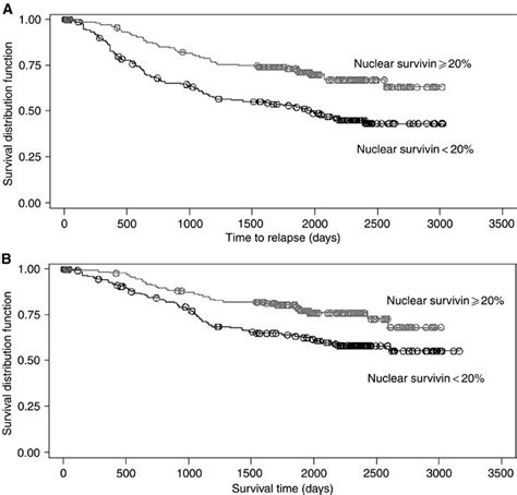 Kaplanmeier Estimates For A Disease Free Survival And B Overall Download Scientific