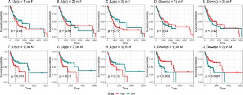 Sex Specific Gene Expression Patterns In Head And Neck Squamous Cell Carcinomas Heliyon