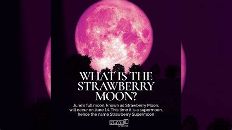 Strawberry Moon AleeaAjaypal