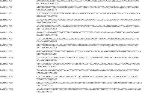 List of biotinylated probes used for LncMN2 RNA Pull down. | Download ...