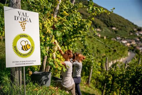 Cantina Produttori Di Valdobbiadene Traguardo Certificazione Equalitas