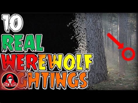 Real Sightings Of Werewolves