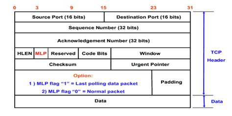 What Is Tcp Header Format Simplifying Complex Tech Terms