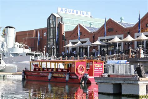 What To Do And Where To Go At The Vanda Waterfront