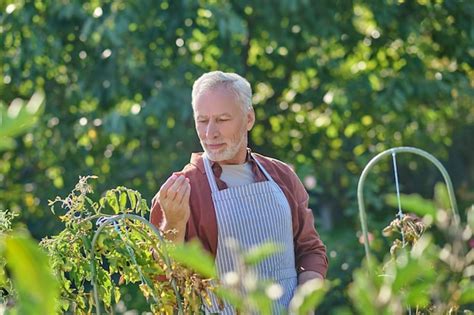 Premium Photo Greenhouse Mature Man In Burgundy Shirt In The Greenhouse