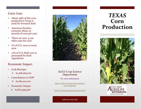 Texas Corn Production Texas Row Crops Newsletter