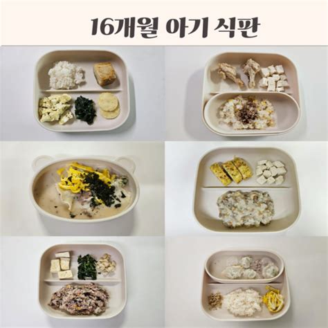 돌아기 식단 메뉴 16개월 아기 식판사골리조또 시금치나물 떡국 계란말이 콩나물밥 네이버 블로그