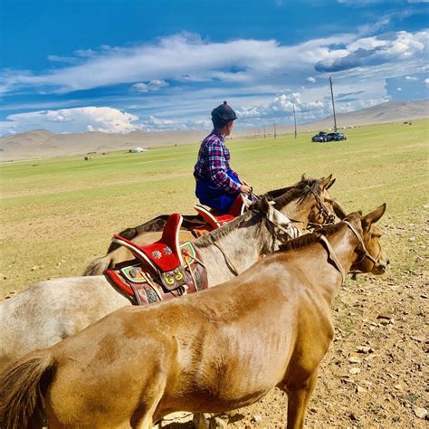 Хээр алаг морьныхоо🐎🔥🇲🇳Хийцийн тааруулад сойсон юмаа хө ️‍🔥 | •аргамаг•