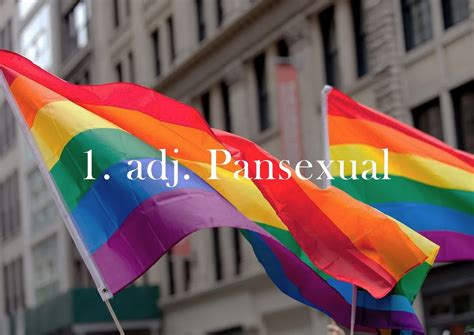 ¿qué Significa Pansexual