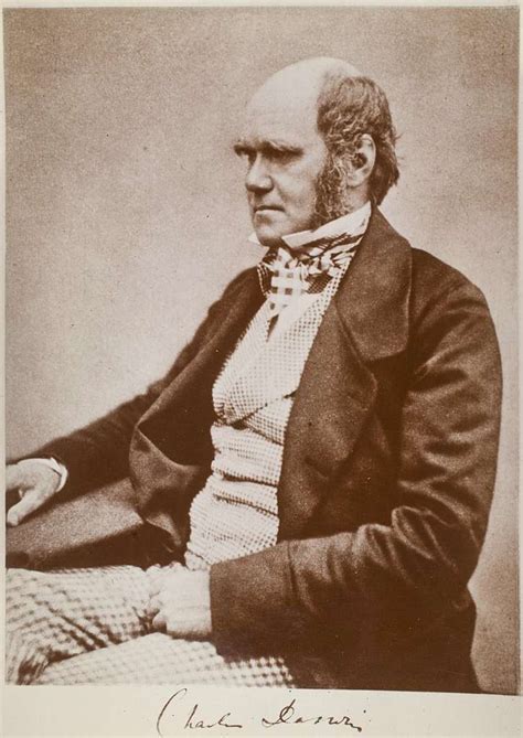 Charles Darwin Seated Black And White Portrait Photograph PICRYL