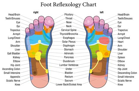 Qué Es La Reflexología Y Para Qué Sirve