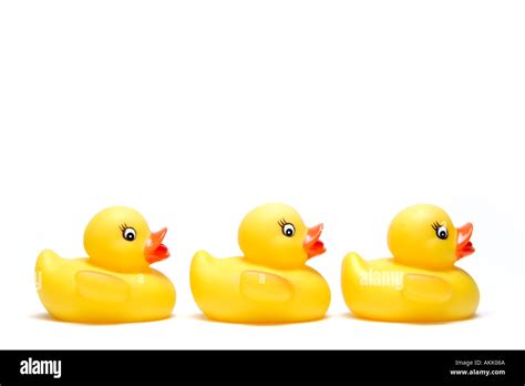 Three Little Yellow Rubber Ducks In A Row Wide View Stock Photo Alamy