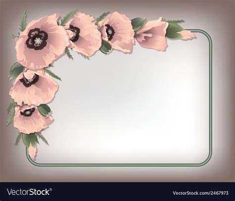 Pink Poppies Floral Frame Royalty Free Vector Image