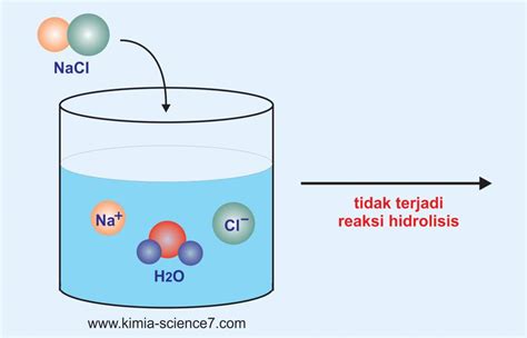 Garam Tidak Terhidrolisis Ilmu