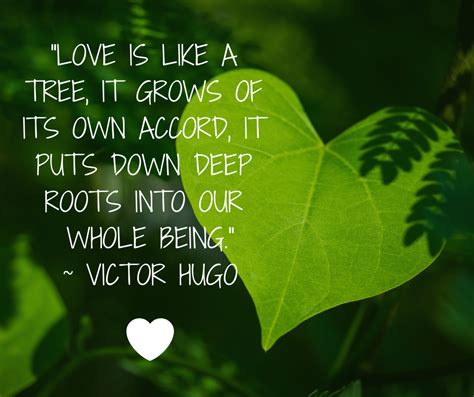 Tree Planting Quotes | Quotes For Your Soul