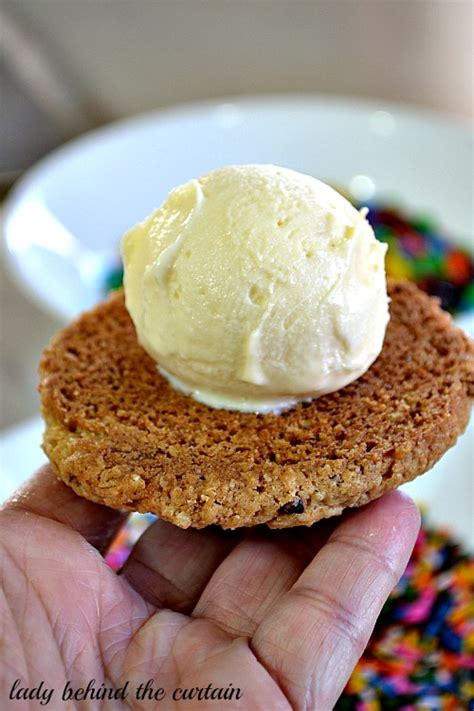 Oatmeal Cookie Ice Cream Sandwich