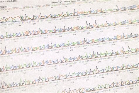 Genetic marker | Definition & Types | Britannica