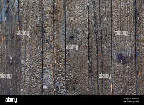 Fondo De Textura De Madera Quemada Imagen De Alta Resoluci N De Carb N