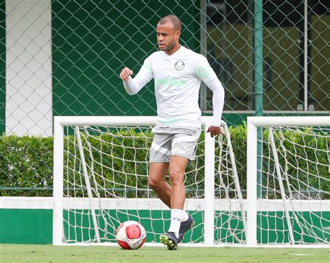 Palmeiras realiza penúltimo treino visando duelo contra Botafogo SP