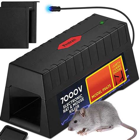 10 Best Rat Traps In 2020 According To An Exterminator