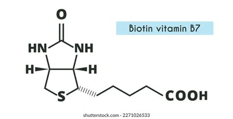 Vitamin B7 Biotin Molecule Skeletal Formula Stock Vector Royalty Free