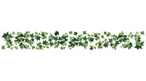 Home Decor Line Ivy Border Decal