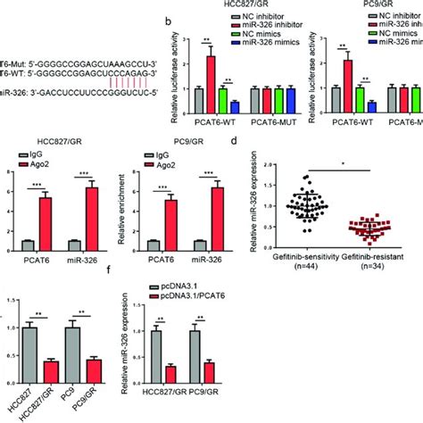 PCAT6 Knockdown Reduces Gefitinib Resistance Of NSCLC A PCAT6 Levels