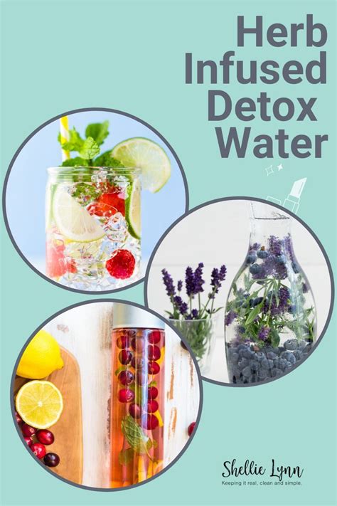 6 Herb Infused Detox Water Recipes In 2020 Herb Infused Water Recipes Water Recipes Detox