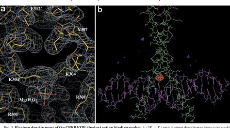 Figure From The Structure Of A Creb Bzipsomatostatin Cre Complex