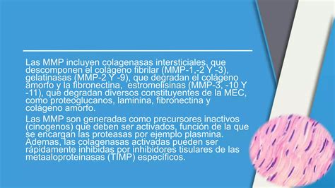 Inflamacion granulomatosa Patología PPT