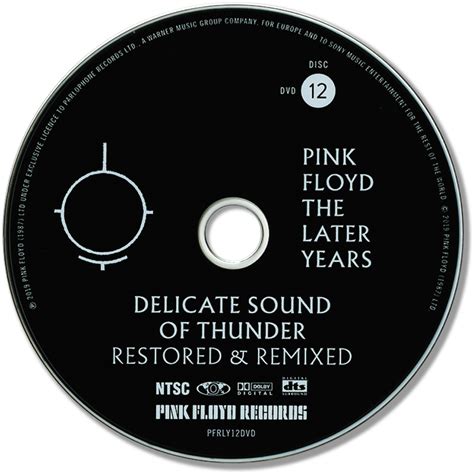 Pink Floyd Ilustrado Delicate Sound Of Thunder Restored Remixed