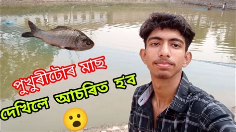 Rcb হাৰিল 😢csk জিকিল Ipl 24 মাছ চাওঁক হে🐟 Youtube