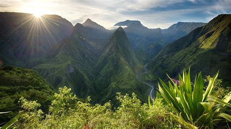 Île de la Réunion 41 de la flore est menacée Natura Sciences