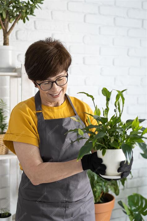 Cuidado De Plantas De Interior De Primavera Trasplantar Plantas De