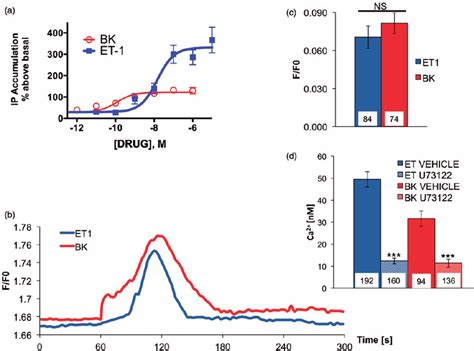 Et And Bk Induced Activation Of Plc In Population And Single Cell