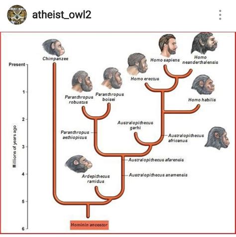 Pin De Atheist Jane 💜 En Happy Atheist Evolución Humana Evolucion