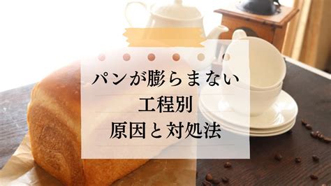 【講師が解説】パンが膨らまない｜工程別に原因と対処法を徹底解説 パン作りで丁寧な暮らしを楽しむ