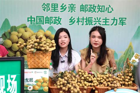 平南：打造“荟味龚州”推动石硖龙眼“触网”热卖腾讯新闻