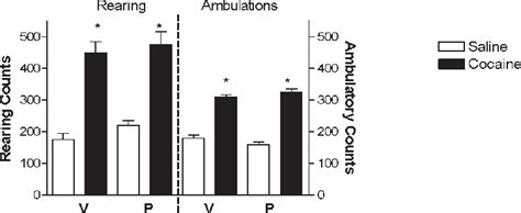 Ambulatory And Rearing Behavioral Responses In Male Rats After Acute