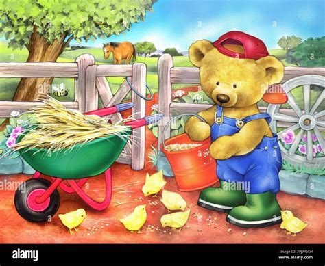 Juvenile Teddy At Farm With Wheelbarrow And Bucket Feeding Chicks Stock