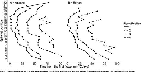 Figure 1 From Different Grain Filling Rates Explain Grain Weight